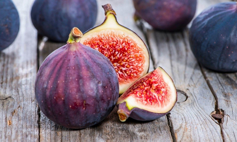 Pruning and Training a Fig Tree