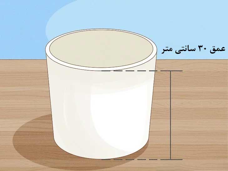 انتخاب گلدان برای پرورش هویج