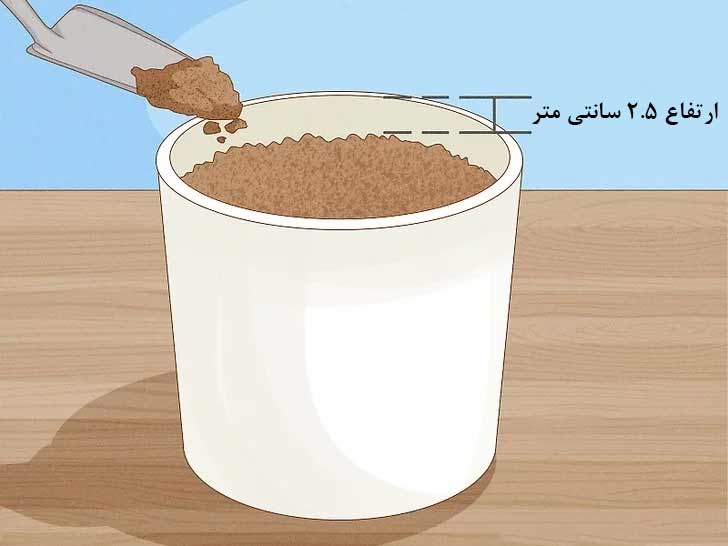 نحوه مناسب پر کردن گلدان با خاک