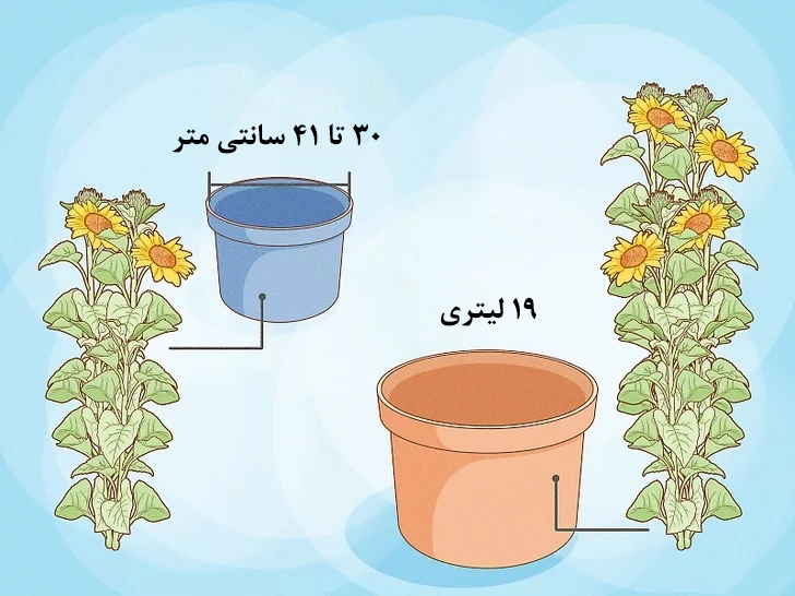 انتخاب مناسب‌ترین نوع گلدان