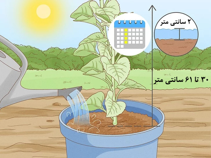 حفظ رطوبت خاک گلدان